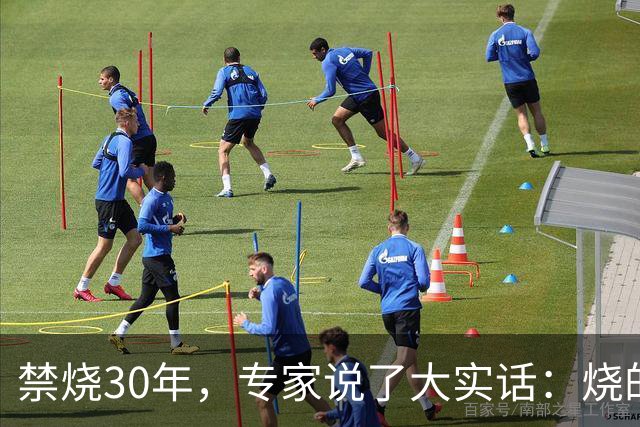 禁烧30年，专家说了大实话：烧的不是秸秆，是农村没啥人了！